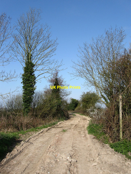 Photo 6"x4" Farm Track, Chilley Farm Rickney c2010