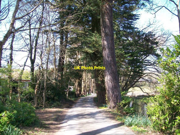 Photo 6"x4" The main driveway to Eisteddfa Criccieth c2010