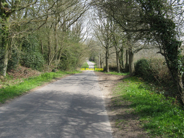 Photo 6"x4" Oldlands Hill towards Oldlands Hall Fairwarp c2010