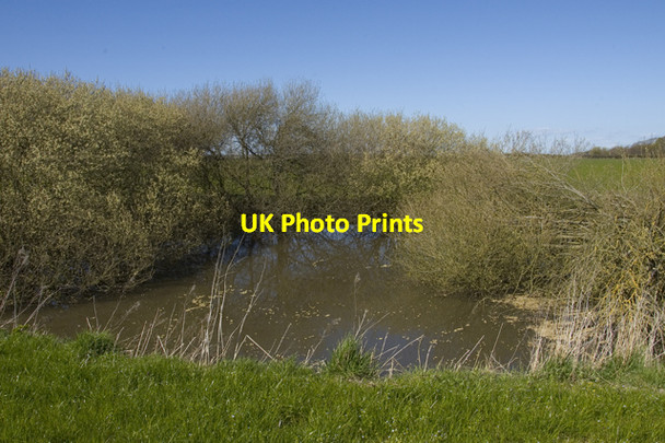 Photo 6"x4" Pond by Mile Road Singleton\/SD3838 c2010