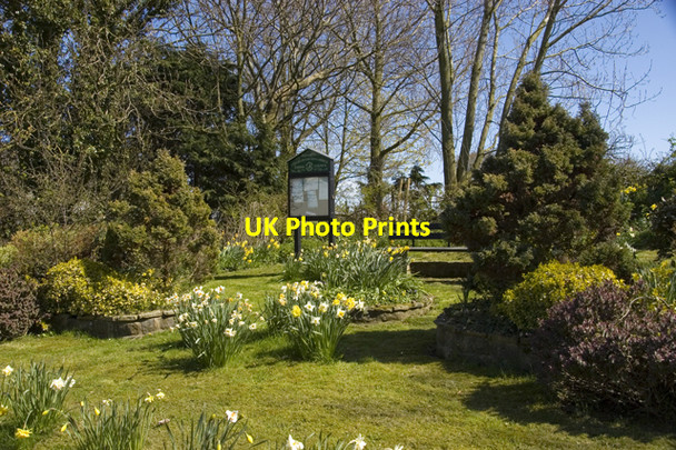 Photo 6"x4" Small roadside garden at Larbreck Larbreck\/SD4040 c2010