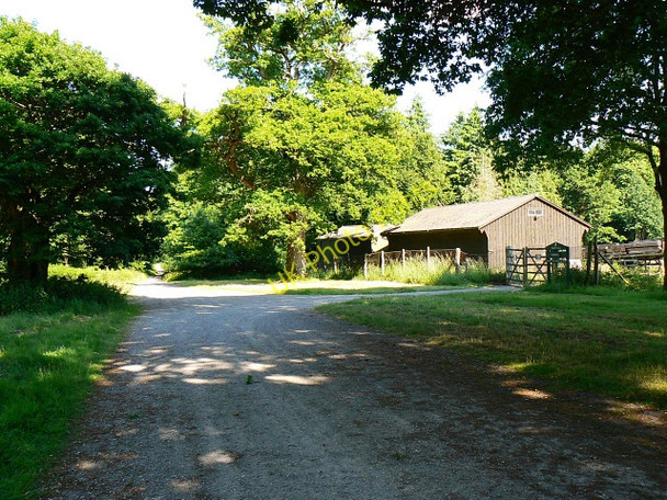 Photo 6"x4" Grand Lodge Drive, Savernake Forest Cadley\/SU2066 c2009