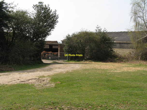 Photo 6"x4" Spring Garden Farm Duddleswell c2010
