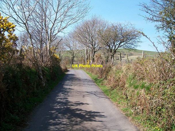 Photo 6"x4" The lane to Pentrefelin south of Cefn meusydd uchaf Criccieth c2010