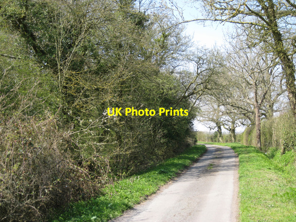 Photo 6"x4" Two sides of Old Green Lane Oldwich Lane c2010