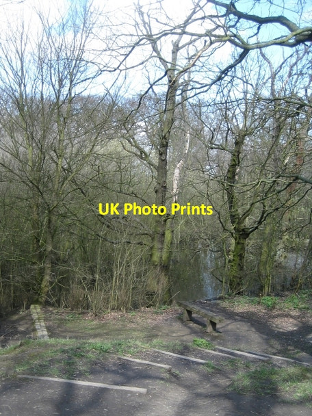 Photo 6"x4" Around Stanley Marsh Nature Reserve (1) Stanley\/SE3424 c2010