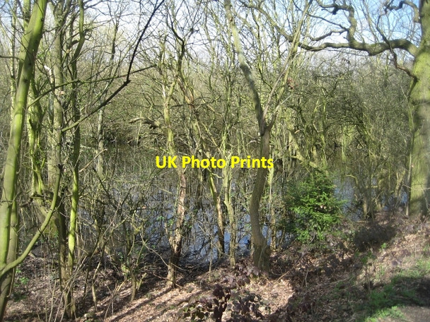 Photo 6"x4" Around Stanley Marsh Nature Reserve (4) Stanley\/SE3424 c2010
