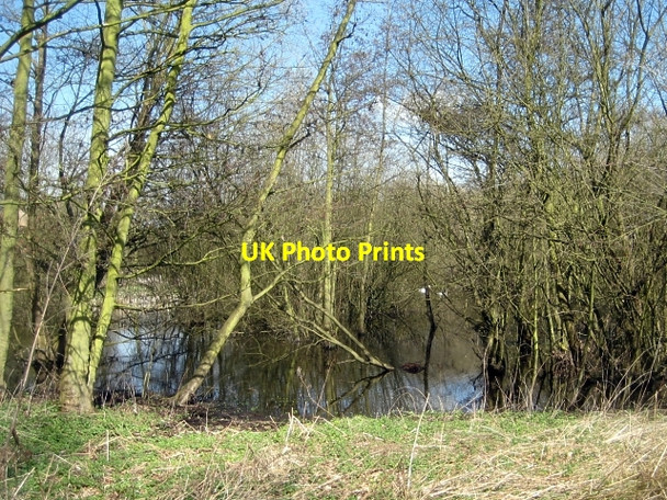 Photo 6"x4" Around Stanley Marsh Nature Reserve (5) Stanley\/SE3424 c2010