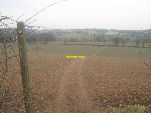 Photo 6"x4" Public Footpath between Vicarwood and Kedleston Road, Derbyshire Allestree c2010
