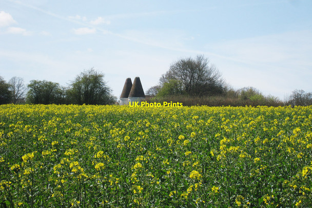Photo 6"x4" Trillinghurst Oast, Ranters Lane, Kilndown, Kent Goudhurst c2010
