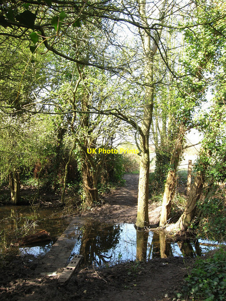Photo 6"x4" Footpath to Westham Pevensey c2010