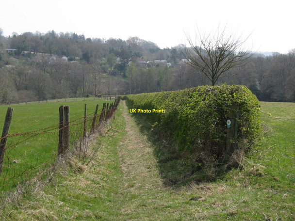Photo 6"x4" Neat hedgerow alongside the Vanguard Way High Hurstwood c2010