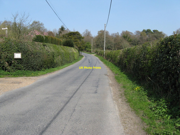 Photo 6"x4" North on Burnt Oak Road leading to Burnt Oak High Hurstwood c2010