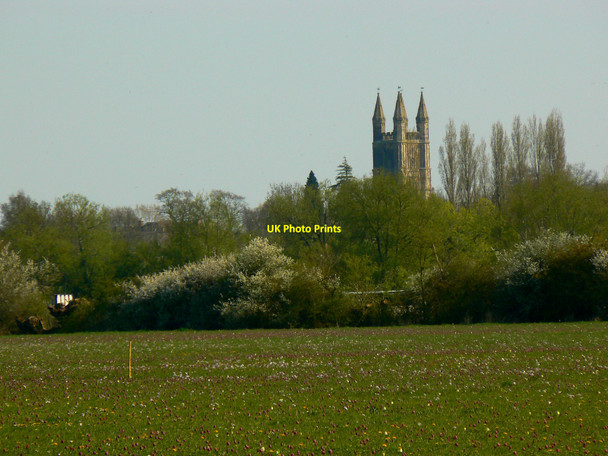 Photo 6"x4" North Meadow National Nature Reserve, Cricklade Cricklade c2010