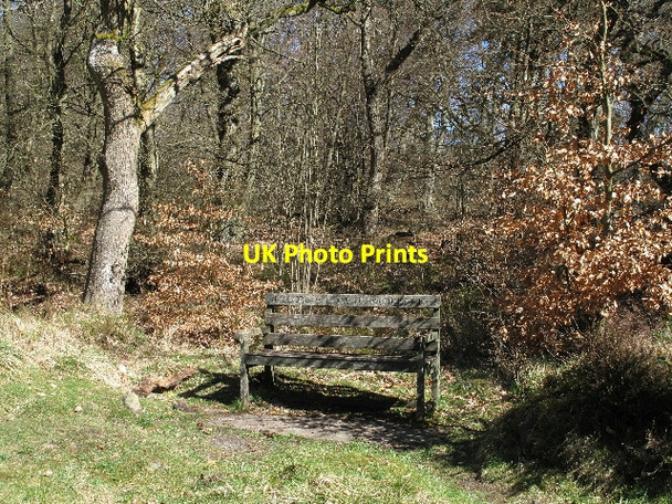 Photo 6"x4" Frank Lockwood Memorial Seat Pennington Plantn c2010