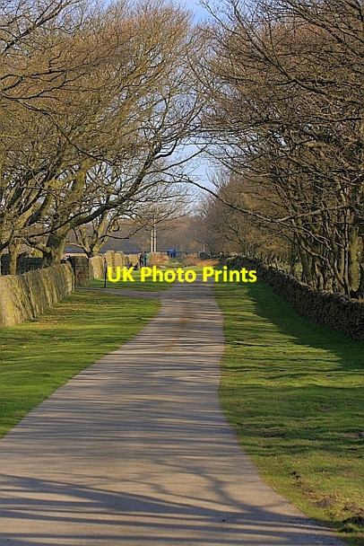 Photo 6"x4" Access to Moscar Lodge Hollow Meadows c2010