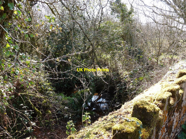 Photo 6"x4" The view upstream from Brimford bridge, the first over the river Torridge Meddon c2010