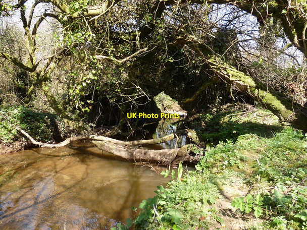 Photo 6"x4" Horton Bridge as seen from Upstream Huddisford c2010