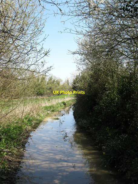 Photo 6"x4" Old Barnhorn Road Hall's Close c2010