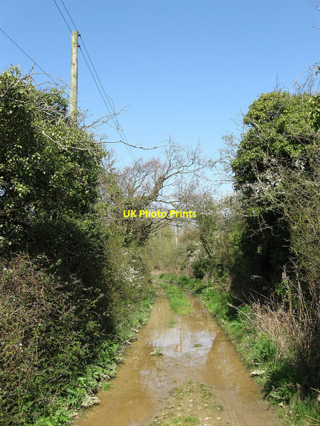 Photo 6"x4" Old Barnhorn Road Hall's Close c2010