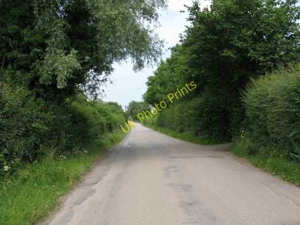 Photo 6"x4" Lane To Sutton St Nicholas Sutton Marsh c2009