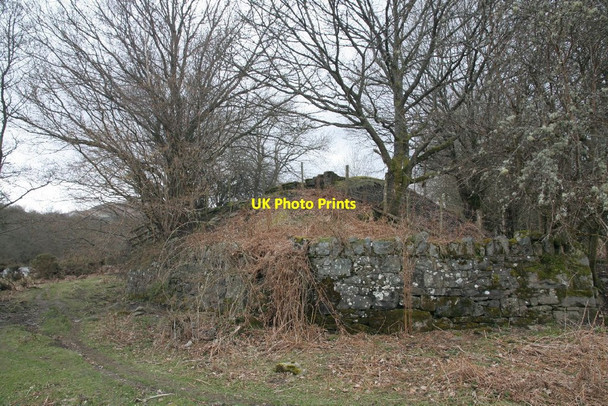 Photo 6"x4" Wall at the end Llanwrthwl c2010