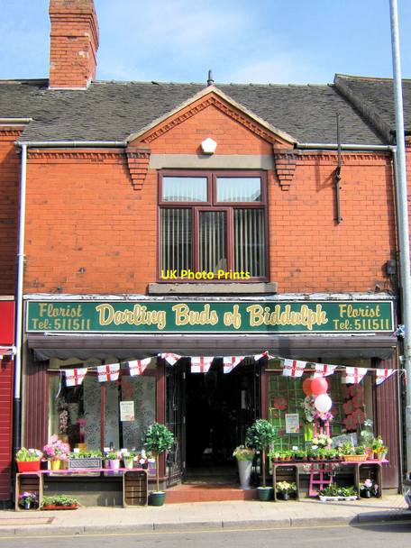 Photo 6"x4" Darling Buds of Biddulph Biddulph c2010