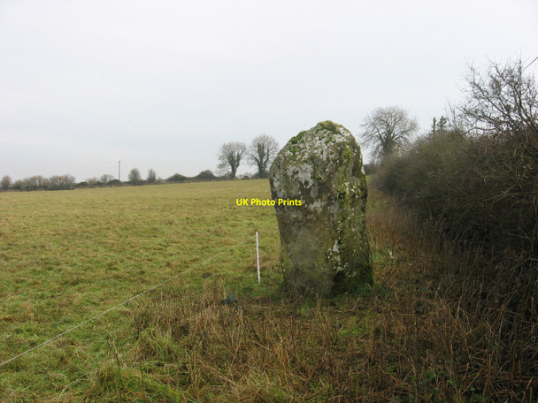 Photo 6"x4" Standing stone at Barnaveddoge, Co. Louth Dromin c2010