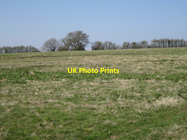 Photo 6"x4" Due to be ploughed southwest of Hilltop Close Oldwich Lane c2010