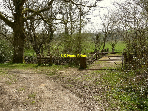 Photo 6"x4" Rockhay Bridge on the river Torridge Sheepwash\/SS4806 c2010