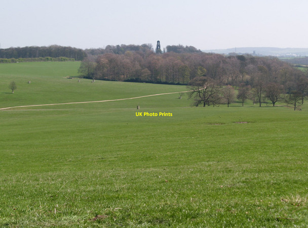 Photo 6"x4" The restored Parkland at Wentworth Woodhouse Cortworth c2010