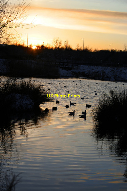Photo 6"x4" Setting sun in Tymon park Tymon North c2009