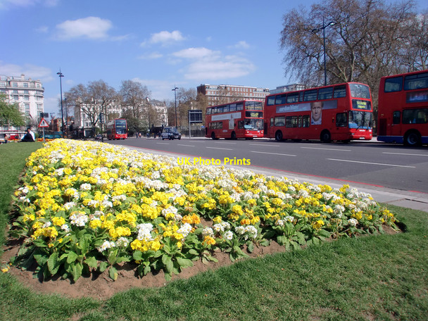 Photo 6"x4" Flowerbed, Marble Arch, London W1 Westminster c2010