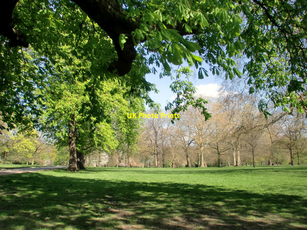 Photo 6"x4" Spring Foliage, Hyde Park, London W1 Westminster c2010