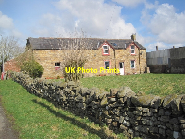 Photo 6"x4" Farm at Upper Denton Upper Denton c2010