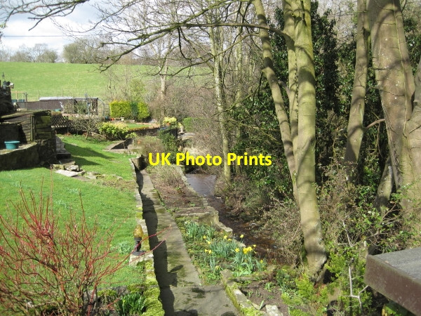 Photo 6"x4" Chapel Burn and Garden at Chapelburn Low Row\/NY5863 c2010