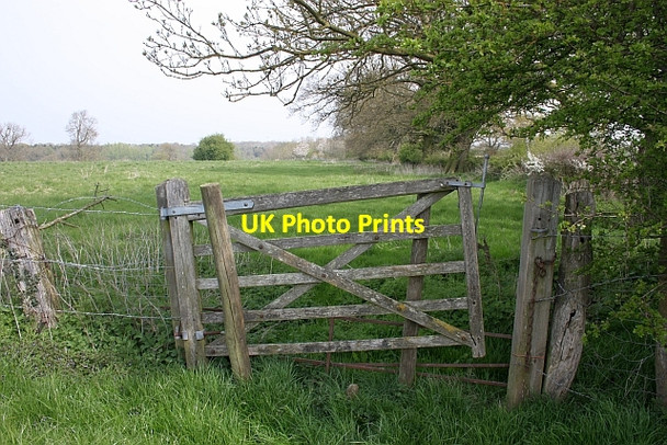 Photo 6"x4" Obstructed bridleway Hardwick Green c2010