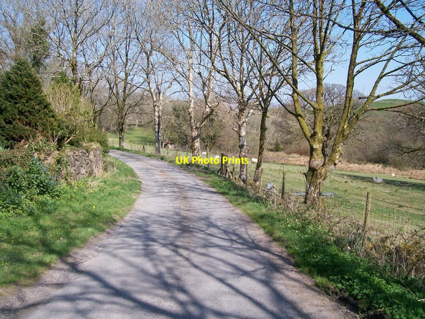 Photo 6"x4" Lane past Ystrad Fawr Criccieth c2010
