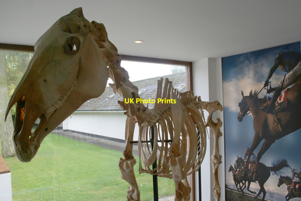 Photo 6"x4" National Stud Kildare c2007