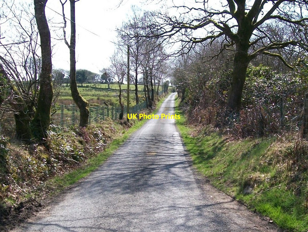 Photo 6"x4" View south along the Ynys-ddu road Criccieth c2010