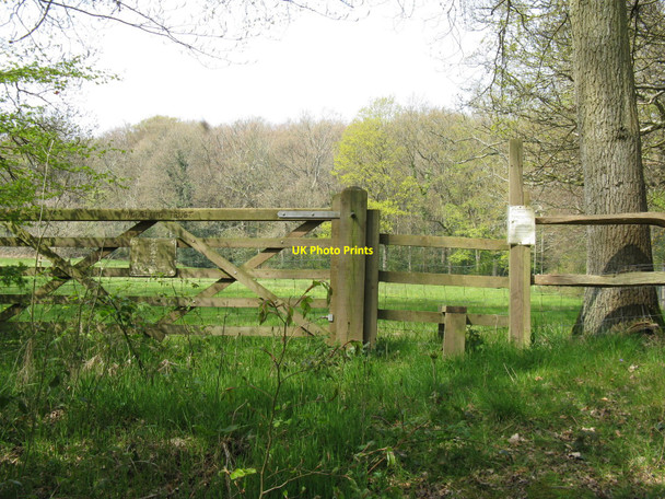 Photo 6"x4" Stile access into Woodland Trust Access land Bedham c2010