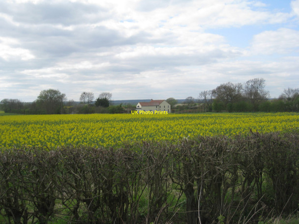 Photo 6"x4" Maidenwell Farm North End\/TF0499 c2010