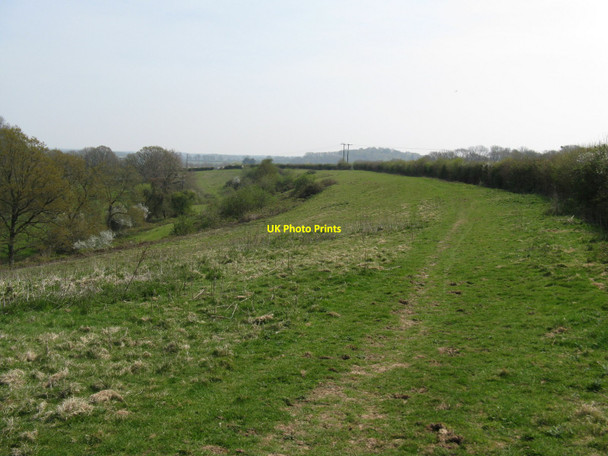 Photo 6"x4" The Wey-South Path following the course of stream in the valley Bedham c2010