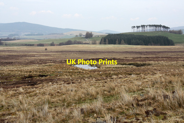 Photo 6"x4" Moorland near Lynemore Allt Choire Odhair c2010