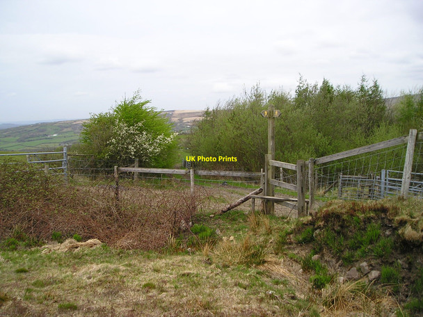 Photo 6"x4" Footpath crossroads Garnant c2010