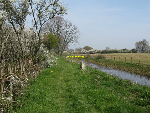 Photo 6"x4" Milestone on the Arun Canal Adversane c2010