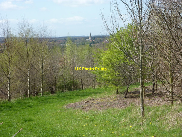 Photo 6"x4" Footpath on former spoil heap Edwinstowe c2010