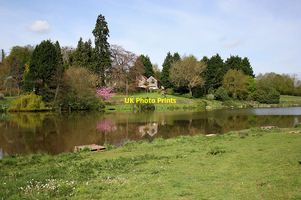 Photo 6"x4" Springtime, Hartleton Water Bromsash c2010