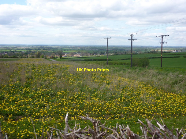 Photo 6"x4" Meadow by the lane to Clarborough Clarborough c2010