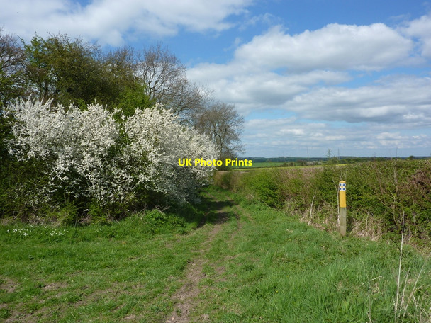 Photo 6"x4" Blue Stocking Lane Clarborough c2010